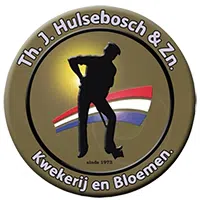 Piet Hulsebosch